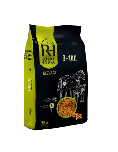 B-100 GR ELEVAGE ROYAL HORSE